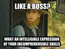 Like a Boss? what an intelligible expression of your incomprehensible skills  - Like a Boss? what an intelligible expression of your incomprehensible skills   Sarcastic Amish Guy