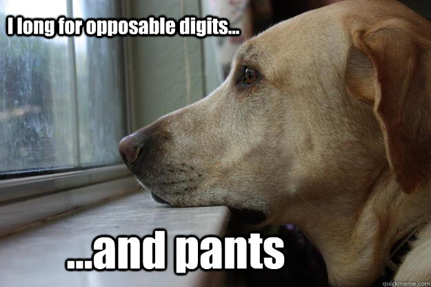 I long for opposable digits... ...and pants  