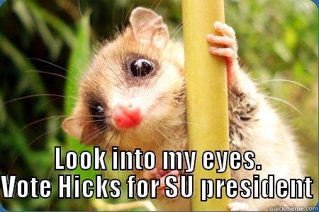  LOOK INTO MY EYES. VOTE HICKS FOR SU PRESIDENT Misc