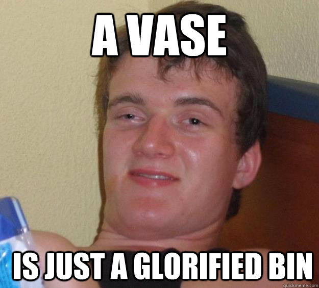 A Vase  is just a glorified bin - A Vase  is just a glorified bin  10 Guy