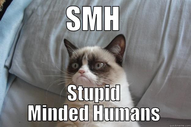 SMH STUPID MINDED HUMANS Grumpy Cat