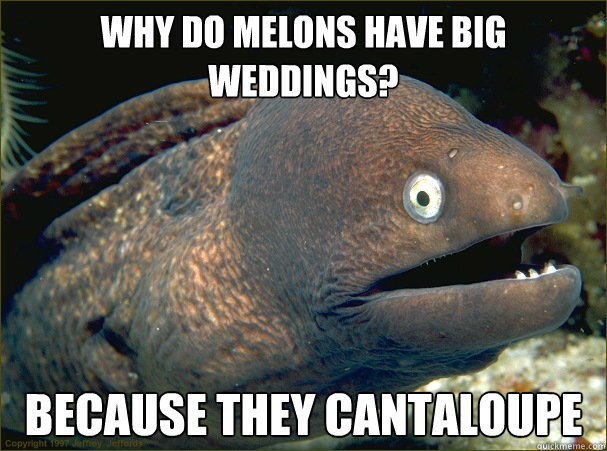 why do melons have big weddings?  because they cantaloupe Caption 3 goes here  Bad Joke Eel