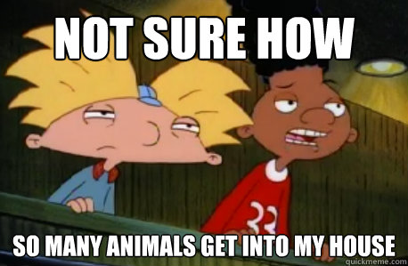 Not sure how so many animals get into my house  Skeptical Hey Arnold