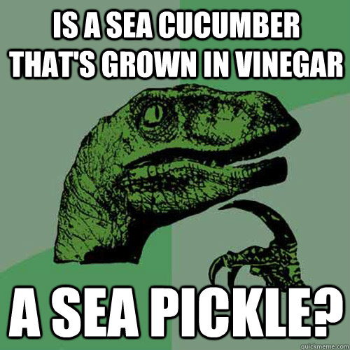 Is a sea cucumber that's grown in vinegar a sea pickle?  Philosoraptor