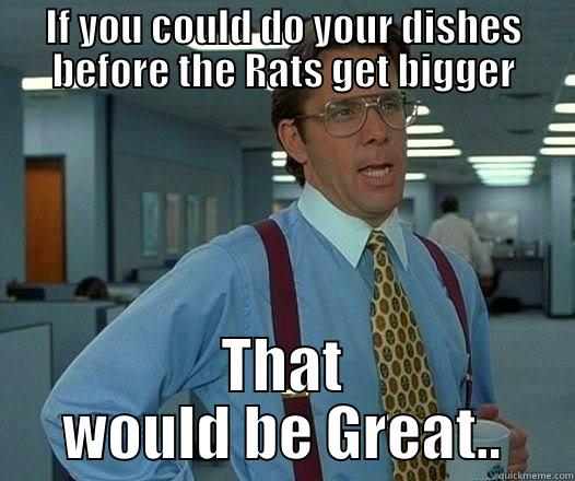 Do the dishes - IF YOU COULD DO YOUR DISHES BEFORE THE RATS GET BIGGER THAT WOULD BE GREAT.. Office Space Lumbergh