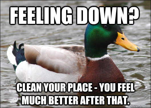 feeling down? clean your place - you feel much better after that.  Actual Advice Mallard