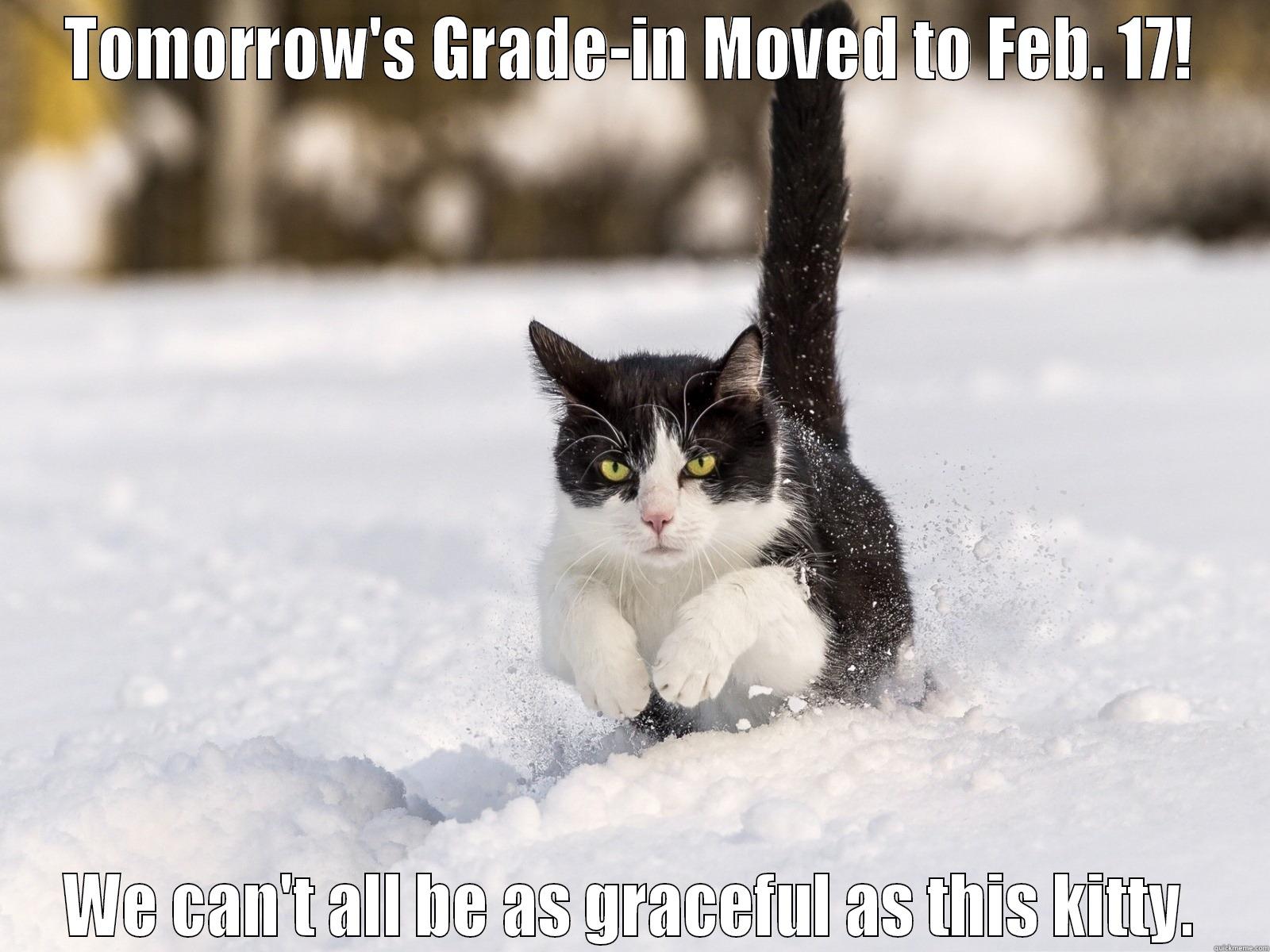 Escape Artist Kitty Cat - TOMORROW'S GRADE-IN MOVED TO FEB. 17! WE CAN'T ALL BE AS GRACEFUL AS THIS KITTY. Misc