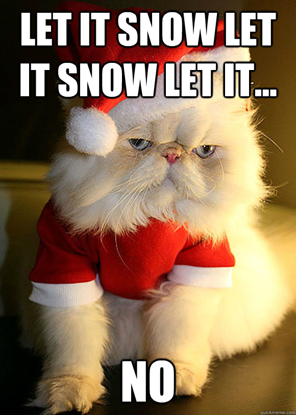 Let it snow let it snow let it... no - Let it snow let it snow let it... no  Angry Cat