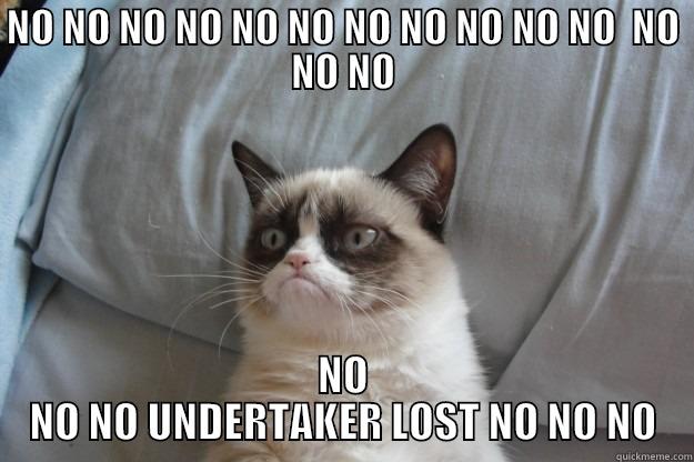 NO NO NO NO NO NO NO NO NO NO NO  NO NO NO NO NO NO UNDERTAKER LOST NO NO NO Grumpy Cat