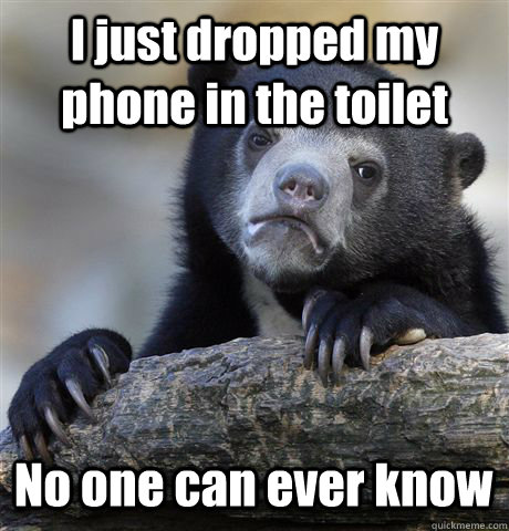 I just dropped my phone in the toilet No one can ever know  Confession Bear