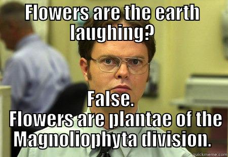 Flowers are the earth laughing? - FLOWERS ARE THE EARTH LAUGHING? FALSE.    FLOWERS ARE PLANTAE OF THE MAGNOLIOPHYTA DIVISION. Schrute