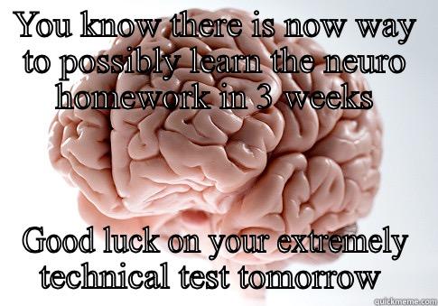 YOU KNOW THERE IS NOW WAY TO POSSIBLY LEARN THE NEURO HOMEWORK IN 3 WEEKS GOOD LUCK ON YOUR EXTREMELY TECHNICAL TEST TOMORROW  Scumbag Brain