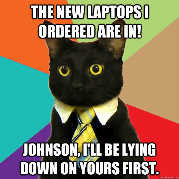 The new laptops I ordered are in! Johnson, I'll be lying down on yours first.  Business Cat