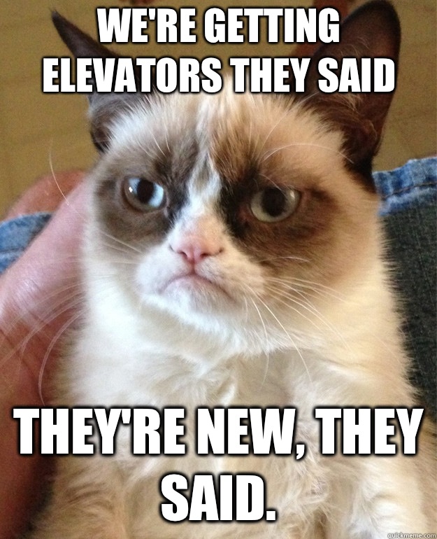 We're getting elevators they said They're new, they said.  Grumpy Cat