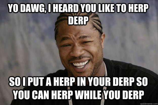 YO DAWG, I HEARD YOU LIKE TO HERP DERP SO I PUT A HERP IN YOUR DERP SO YOU CAN HERP WHILE YOU DERP  Xzibit meme