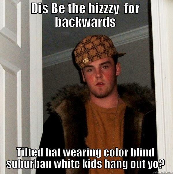 DIS BE THE HIZZZY  FOR BACKWARDS TILTED HAT WEARING COLOR BLIND SUBURBAN WHITE KIDS HANG OUT YO? Scumbag Steve