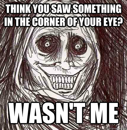 Think you saw something in the corner of your eye? Wasn't me  Horrifying Houseguest