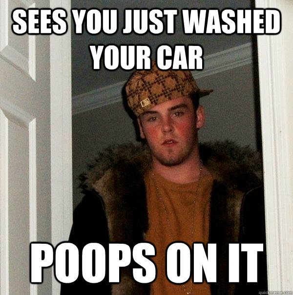 sees you just washed your car poops on it  Scumbag Steve