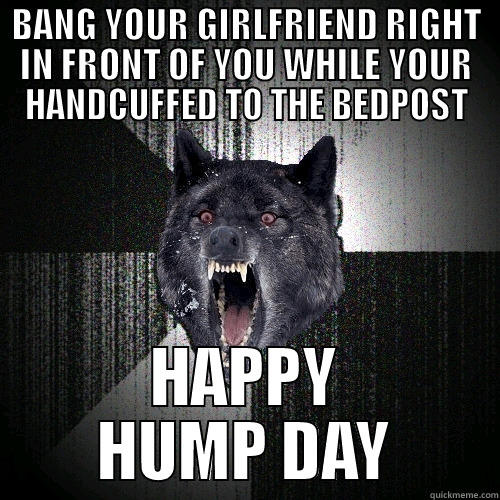 Hump Day Wolf - BANG YOUR GIRLFRIEND RIGHT IN FRONT OF YOU WHILE YOUR HANDCUFFED TO THE BEDPOST HAPPY HUMP DAY Insanity Wolf