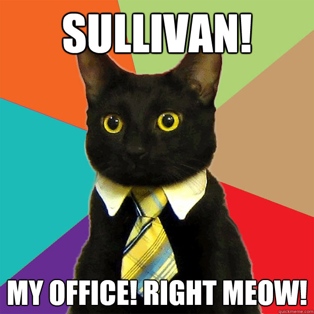 SULLIVAN! MY OFFICE! RIGHT MEOW!  Business Cat