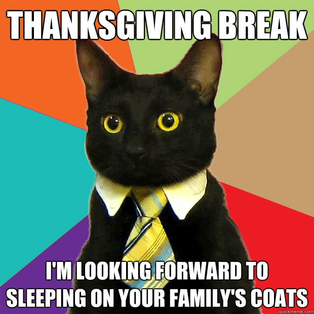 thanksgiving break i'm looking forward to sleeping on your family's coats  Business Cat