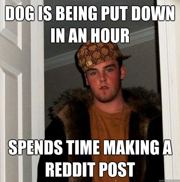 Dog is being put down in an hour spends time making a reddit post  Scumbag Steve