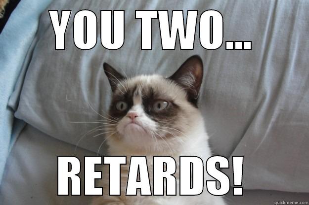 YOU TWO... RETARDS! Grumpy Cat