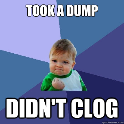 took a dump didn't clog  Success Kid