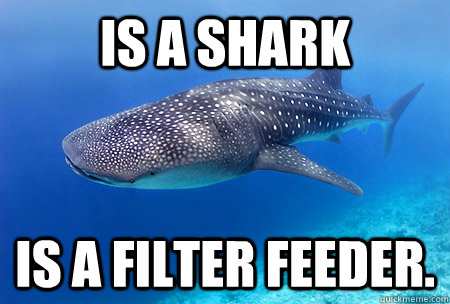 is a shark is a filter feeder.  Good Guy Whale Shark