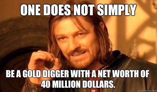 One Does Not Simply Be a gold digger with a net worth of  40 million dollars. - One Does Not Simply Be a gold digger with a net worth of  40 million dollars.  Boromir