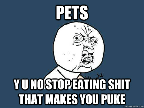 PETS y u no stop eating shit that makes you puke  Y U No