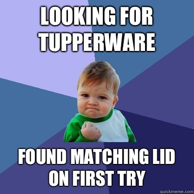 Looking for Tupperware Found matching lid on first try - Looking for Tupperware Found matching lid on first try  Success Kid