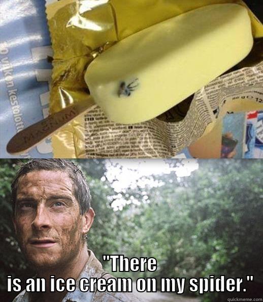 Bear just grylls it. -  ''THERE IS AN ICE CREAM ON MY SPIDER.'' Misc