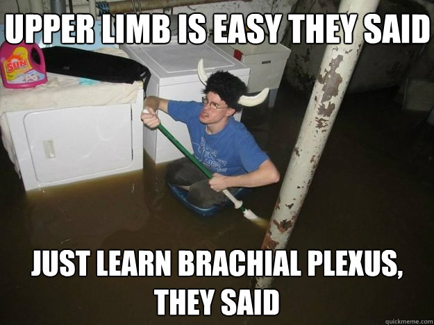 Upper limb is easy they said just learn brachial plexus, they said  Do the laundry they said