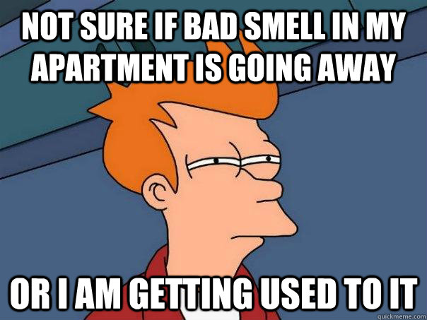 not sure if bad smell in my apartment is going away or i am getting used to it - not sure if bad smell in my apartment is going away or i am getting used to it  Futurama Fry