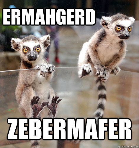 Ermahgerd zebermafer  Zoboomafoo