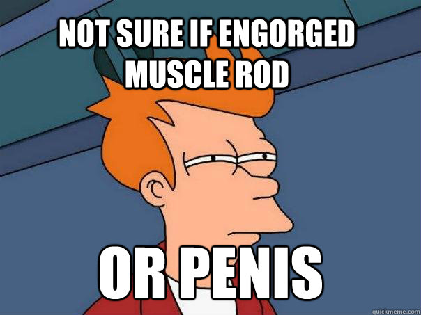 Not sure if engorged muscle rod Or penis - Not sure if engorged muscle rod Or penis  Futurama Fry