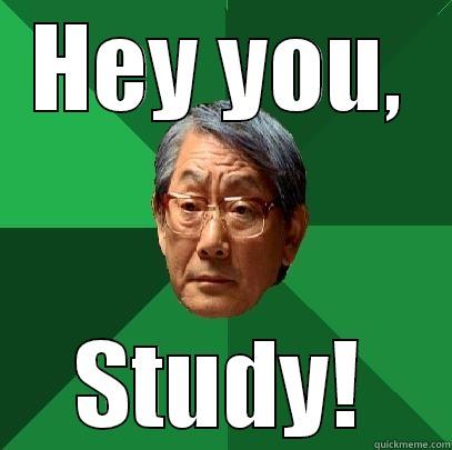 HEY YOU, STUDY! High Expectations Asian Father