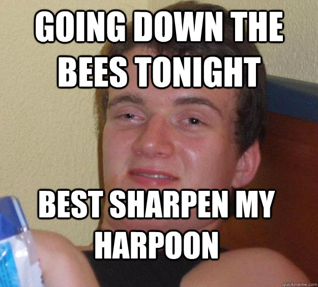 Going down the bees tonight best sharpen my harpoon   10 Guy