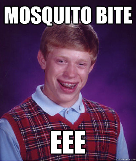 mosquito bite eee  Bad Luck Brian