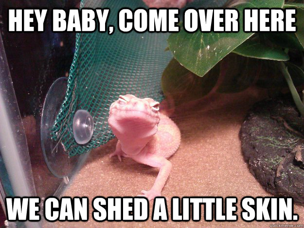 Hey Baby, Come over here we can shed a little skin. - Hey Baby, Come over here we can shed a little skin.  Misc