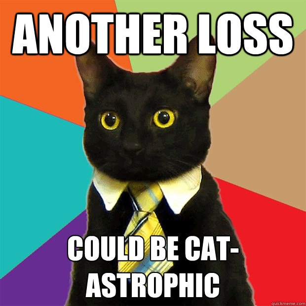 ANOTHER LOSS COULD BE CAT-ASTROPHIC  Business Cat