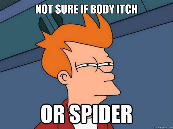 Not sure if body itch Or spider  Futurama Fry