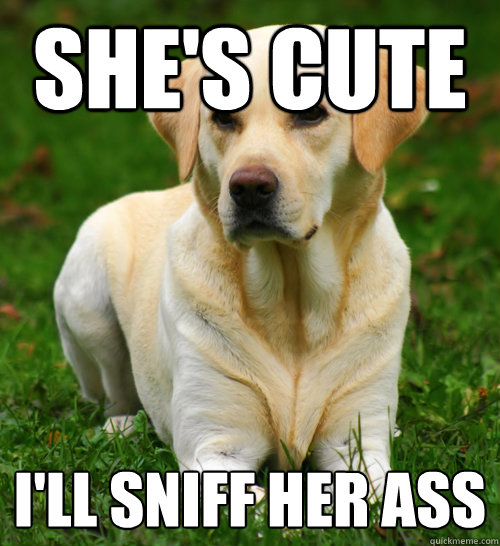 SHe's cute I'll sniff her ass  Dog Logic