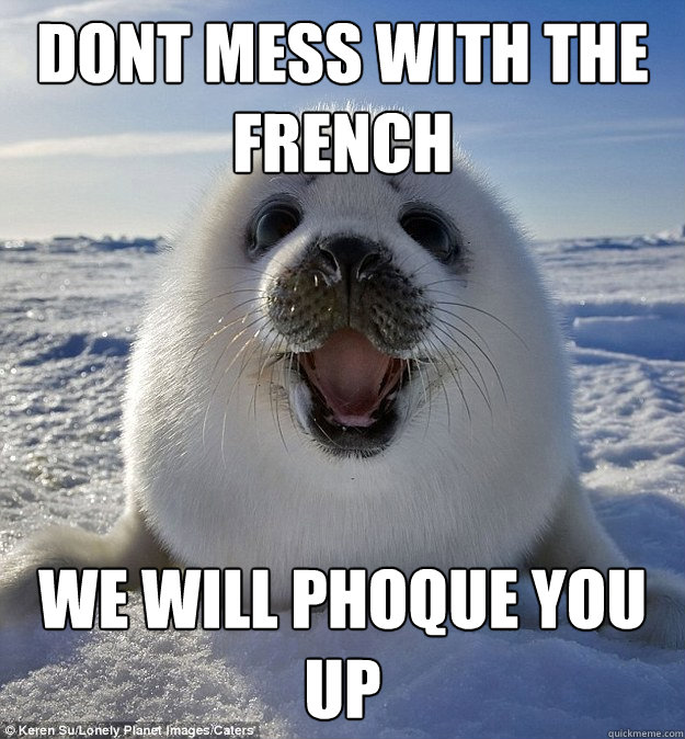 DONT MESS WITH THE FRENCH WE WILL PHOQUE YOU UP  Easily Pleased Seal