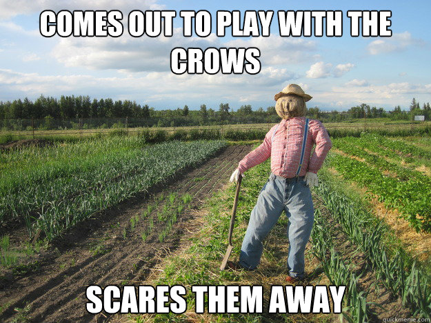 Comes out to play with the crows Scares them away   Scarecrow