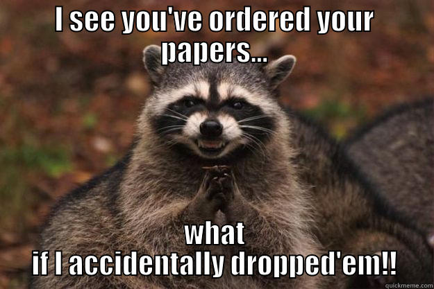 I SEE YOU'VE ORDERED YOUR PAPERS... WHAT IF I ACCIDENTALLY DROPPED'EM!! Evil Plotting Raccoon