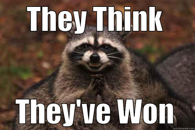 THEY THINK THEY'VE WON Evil Plotting Raccoon