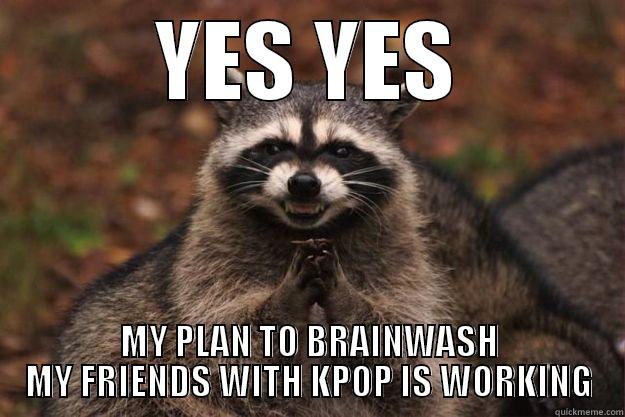 YES YES MY PLAN TO BRAINWASH MY FRIENDS WITH KPOP IS WORKING Evil Plotting Raccoon