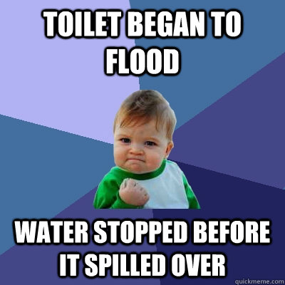 Toilet began to flood Water stopped before it spilled over  Success Kid